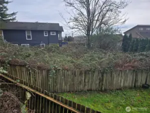 lot is between the fence and the blue house