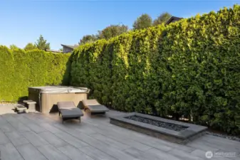 Manicured hedge creates great privacy