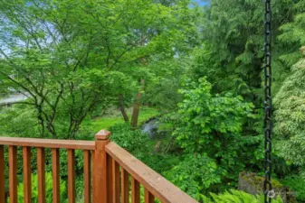 Another view of the creek from the deck.