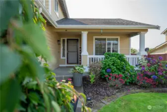 front walkway