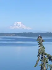 Eagle paying homage to the Mountain.