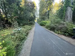 Long paved driveway separates the home from  Puget Beach Rd.