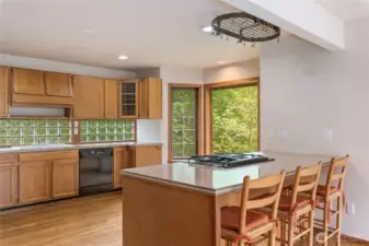 Island with propane cook top and eating space at bar.