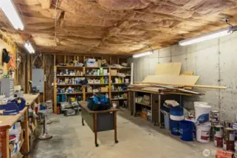 Unfinished storage/work shop with shelving.