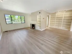 Living room and library