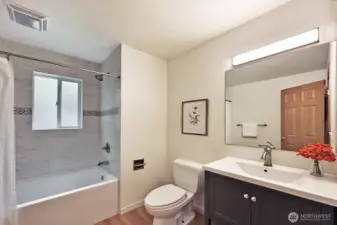 Lower level full bathroom