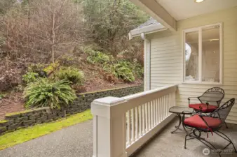 Back porch and patio