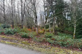 This 2+ acre parcel offers a true Northwest setting, blanketed with ferns, evergreens, and native vegetation. An ideal canvas for a custom home immersed in nature.