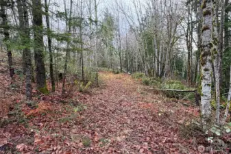 A perfect blend of privacy, beauty, and buildable potential.