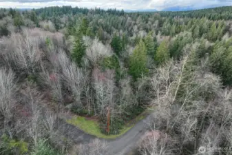 The power pole marks the SE corner of the property