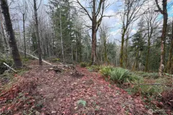 A winter season view of the home site.