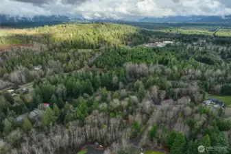 Mature trees and beautiful countryside for miles surrounding this property.