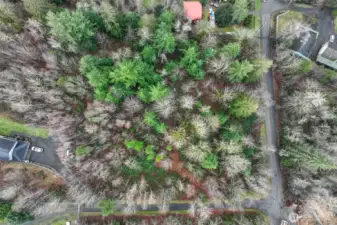 A blend of deciduous and evergreen trees fill this home site.