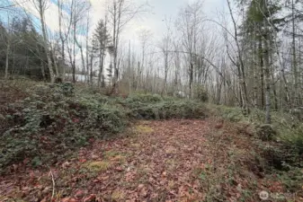 Ravensdale means embracing a relaxed pace of life, open space, and the beauty of the Pacific Northwest.