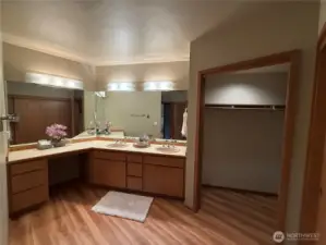 Primary vanity area and walk in closet