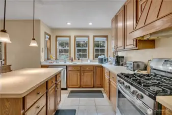Enjoy generous kitchen prep space and a view from the sink into your private, peaceful backyard.