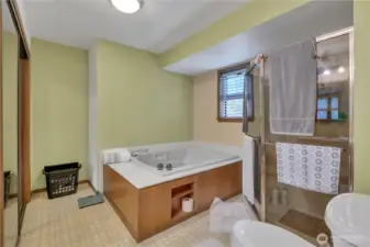 Spacious primary ensuite with a relaxing soaking tub and a separate walk-in shower.