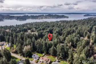 A view that makes you feel immersed in the surrounding forest.