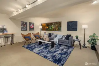 Huge lower level family room.  Room for large TV & exercise equipment