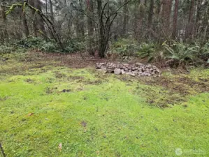 Forest trails throughout the 5 acres