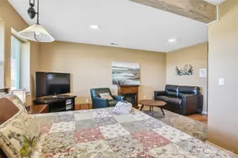 Lower Level Guest Bedroom