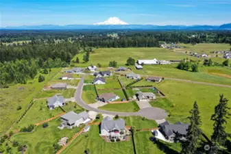 Welcome to Maxvale Hill, a 16 lot large lot subdivision; one of the most exclusive and desirable neighborhoods in all of Yelm, where majestic Mt Rainier views greet you home every day.