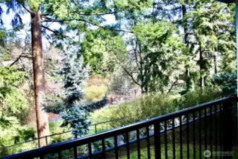 What a private beautiful view from the back deck!