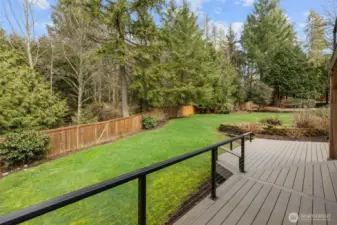 Very private backyard surrounded by trees and greenery.