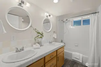 Lower level full bathroom