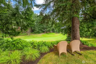 8th fairway