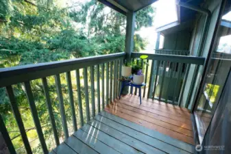 HOA to repaint deck