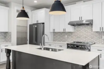Walk in Pantry right off Kitchen