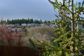 Plenty of nature between you and your neighbors to the west.