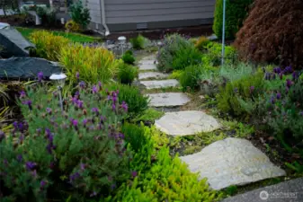 Nicely landscaped and low maintenance yard.