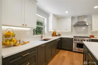 Wolf Range and under cabinet led lighting