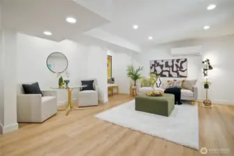 Lower level entrance/living room