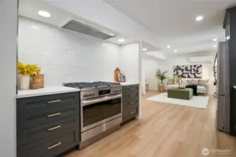 Lower level kitchen w/propane range