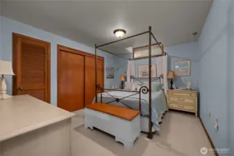 Bedroom on daylight lower level...