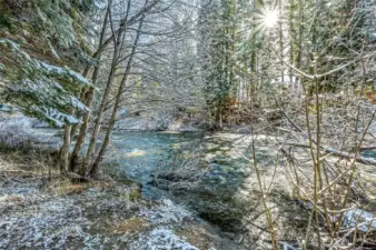 Chiwawa River Access 200 Feet from Cabin