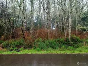Property directly on paved road with power, water, and sewer readily available for hook up.