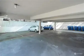 Secure garage parking