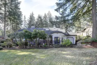 Foliage for Privacy.