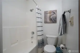 Another view of the guest bath.