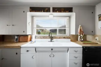 Looking out the kitchen window.
