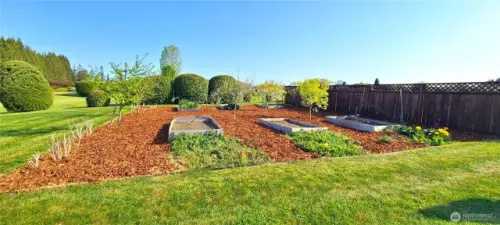 Large Established Garden