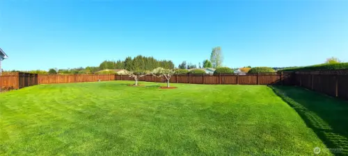 Beautiful Rear Yard