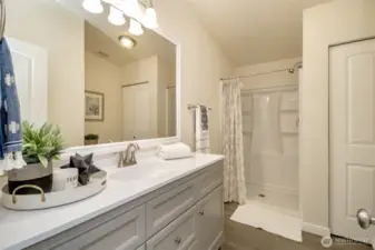 This is the large primary bath with walk in shower.