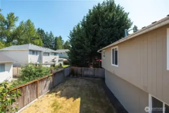 Back yard as seen from beck deck