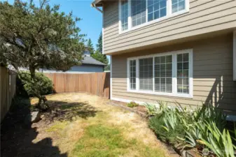 Front yard