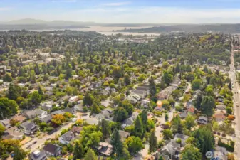 aerial photo looking south and east. You can see Lake Washington from the photo. 98 walk score and 100 transit score! A short walk to light rail, grocery stores, cafes and everywhere you want to be. Only minutes to the UW, downtown, Amazon and 520. And located in the #1 sought after school cluster!